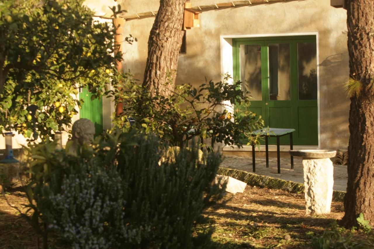 B&B Manca1Fiorino Buseto Palizzolo Zewnętrze zdjęcie
